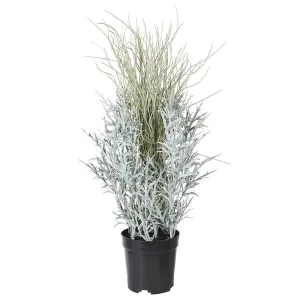 Artificial Coral Leaf Plant in Black Pot