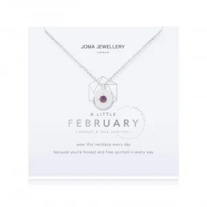 Birthstone a little February Amethyst Necklace 4655