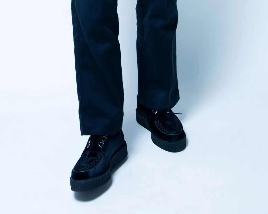 Black Velvet Anarchic Creeper
