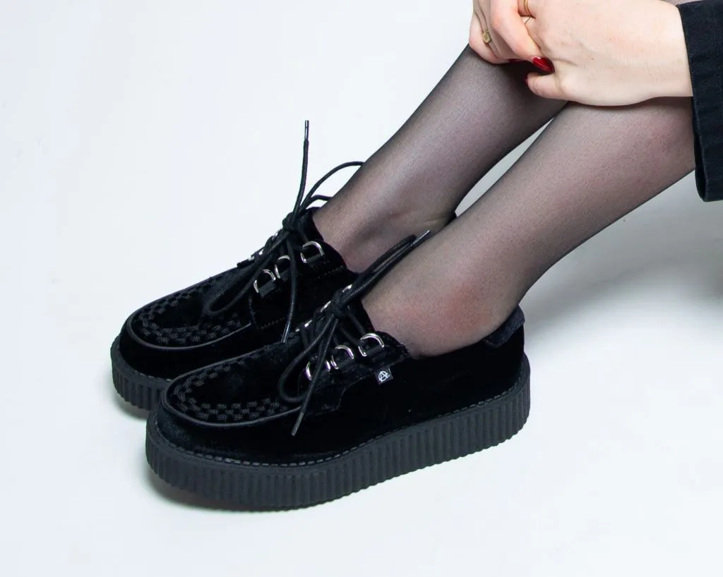Black Velvet Anarchic Creeper
