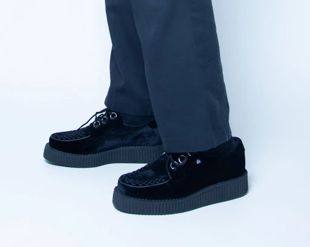 Black Velvet Anarchic Creeper