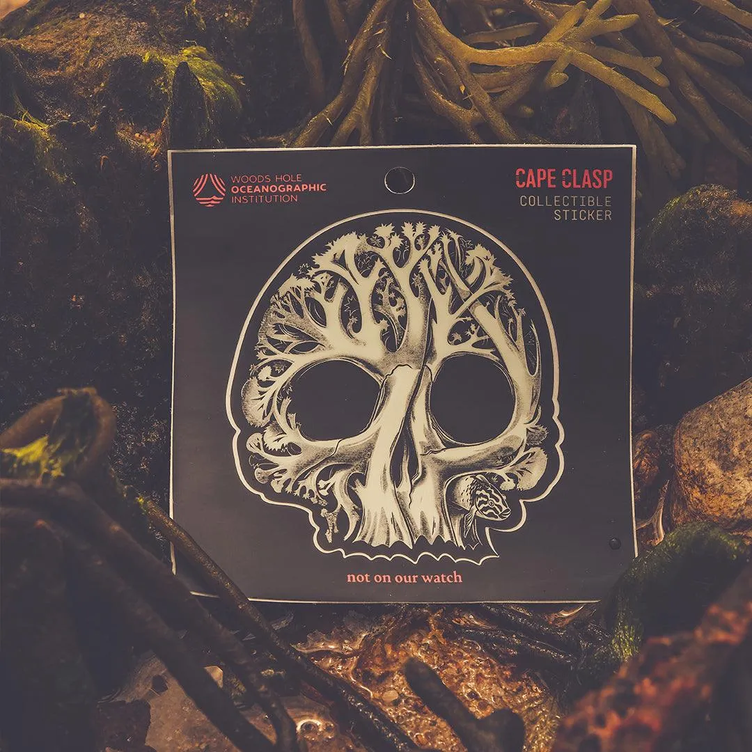 CC X WHOI Coral Skull Sticker