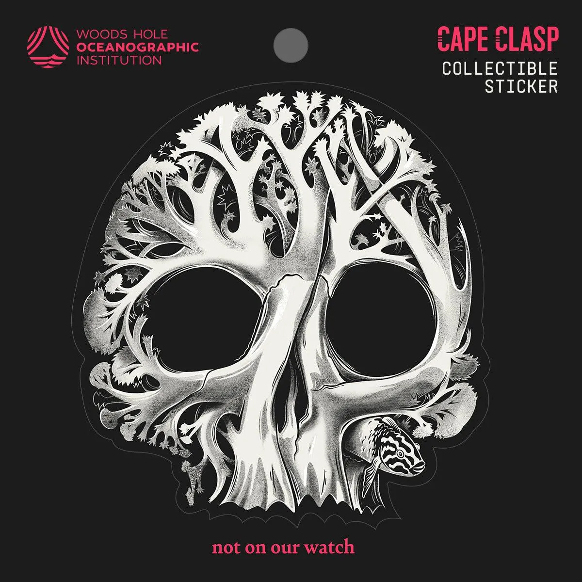 CC X WHOI Coral Skull Sticker