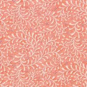 Celestial Lights by Amanda Murphy Coral Vine