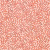 Celestial Lights by Amanda Murphy Coral Vine