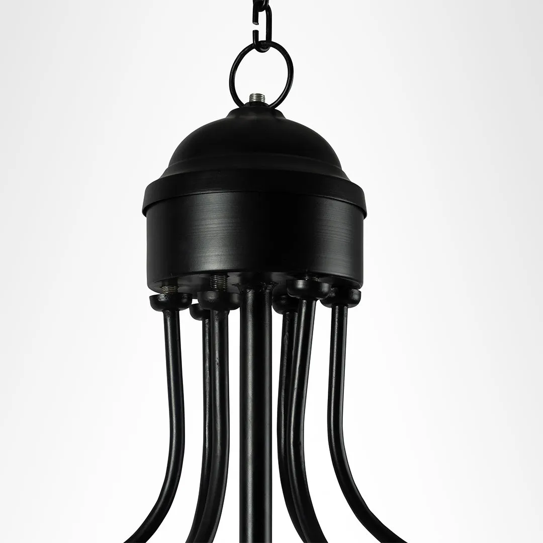 Coral Chandelier