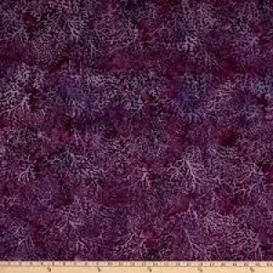 Coral Jelly