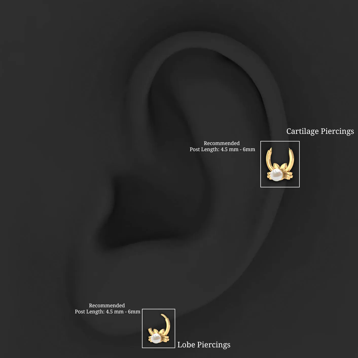 Real Freshwater Pearl Cat Daith Hoop Earring in Gold