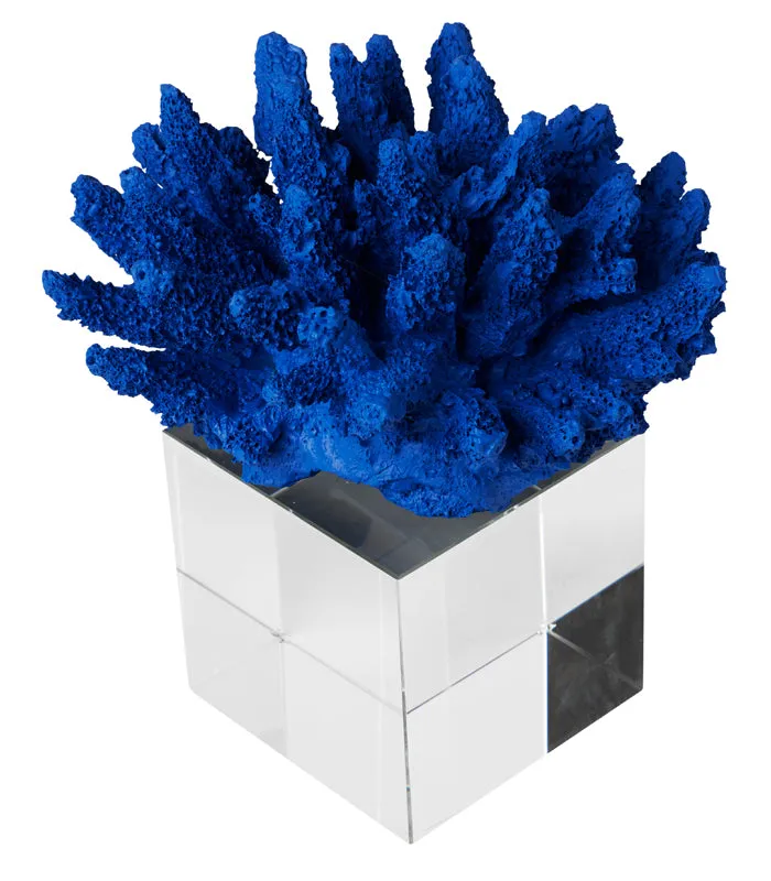 Sea Shell Coral Sculpture - Blue