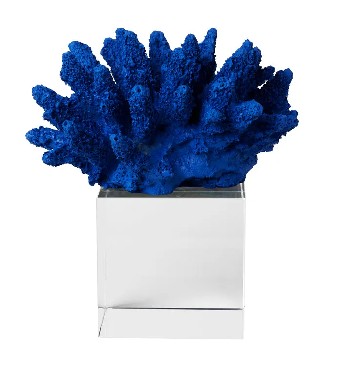 Sea Shell Coral Sculpture - Blue