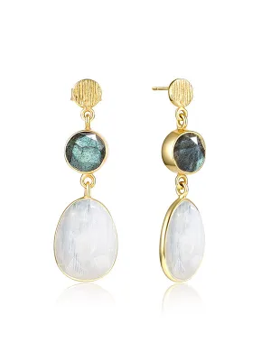Shining Labradorite Earrings